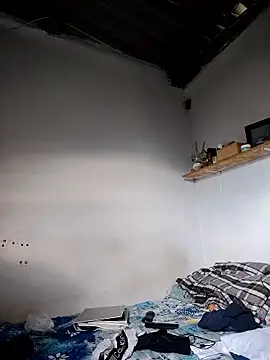 gatoalex89 online show from 04-12-26, 08:01