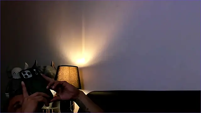 BradLeon  online show from 01-11-26, 01:01