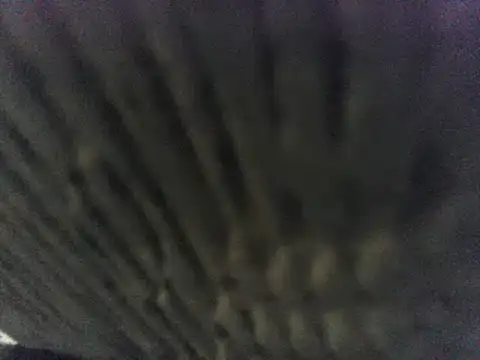 party51502 online show from 03-08-25, 07:20