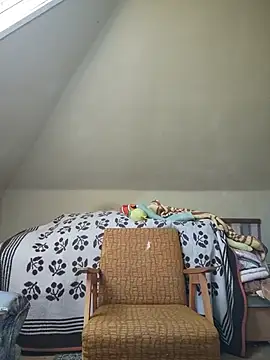 danitomii online show from 06-15-26, 06:35