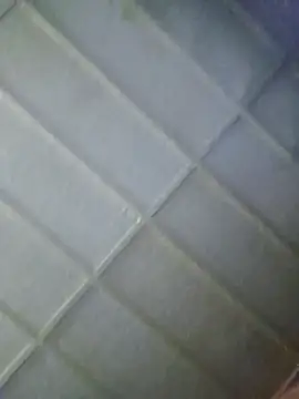 zaneporter46 online show from 02-05-26, 06:15