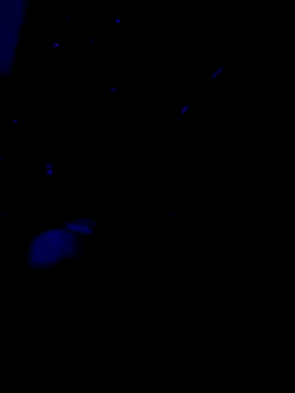 Amadass90 online show from 02-11-25, 07:16