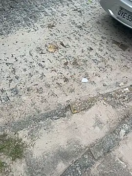 Casadadelicia26 online show from 03-19-26, 07:25