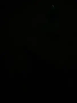 Dvddd online show from 04-14-26, 02:33