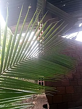 Andres123cv online show from 12-18-25, 09:18