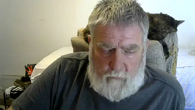 viejo oso online show from 03-20-26, 09:38