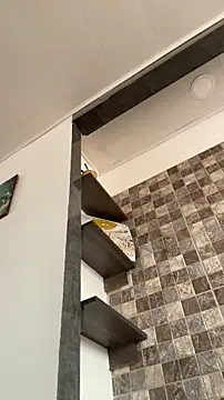 Sophia cyrus11 online show from 02-06-26, 05:42