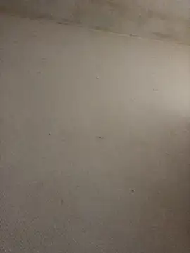 BELLAMORGANE1 online show from 11-02-25, 09:25