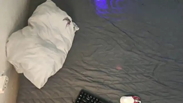 kyle 898 online show from 12-02-25, 01:46