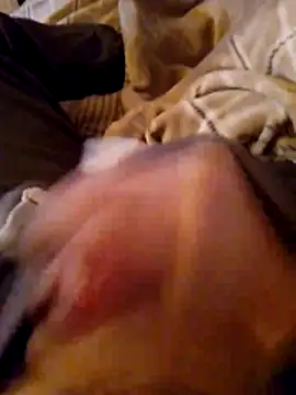 Snapshot of MaxiFabry chatting on 10-20-25, 07:47 MaxiFabry online show from 10-20-25, 07:47