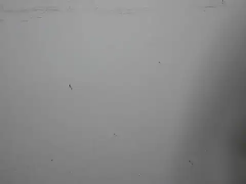 GoddessGlide online show from 03-16-25, 11:16