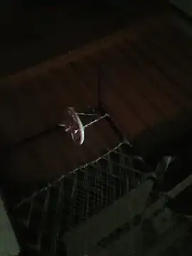 Snapshot of carria_homes chatting on 10-10-25, 07:36 carria homes online show from 10-10-25, 07:36