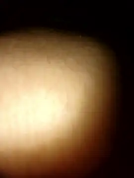 tesaodaweb online show from 01-09-26, 12:34