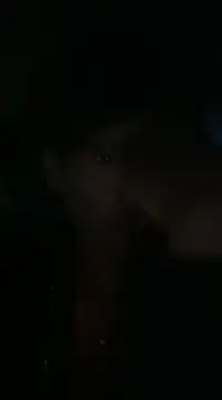 Snapshot of cinnabunzbunz86 chatting on 02-19-25, 04:23 cinnabunzbunz86 online show from 02-19-25, 04:23