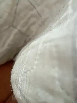 bibiazinhaaa online show from 02-09-26, 11:25