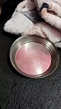 Whitehouse01 online show from 01-13-25, 02:42