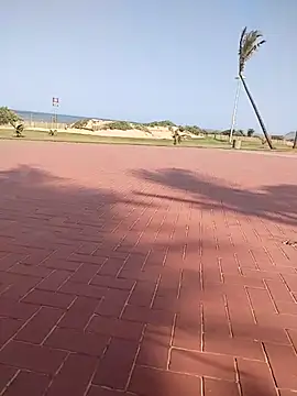 vhakhadzi online show from 01-14-25, 01:38