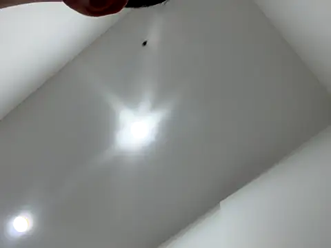 Sexocokin online show from 12-16-25, 01:15