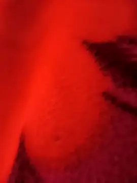 biharihot online show from 12-21-25, 05:36