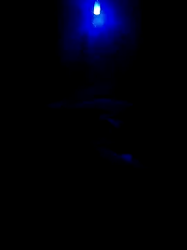 Snapshot of dreamers_dick chatting on 01-01-25, 07:21 dreamers dick online show from 01-01-25, 07:21