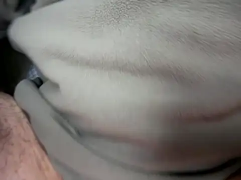 Archie8338 online show from 01-14-26, 04:21