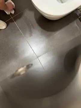 verici34 online show from 03-01-26, 09:09