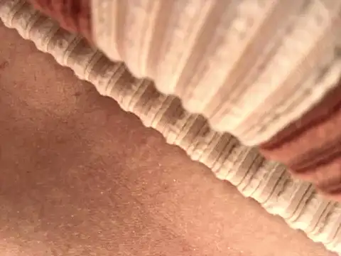 BELLA--26 online show from 09-17-25, 01:46