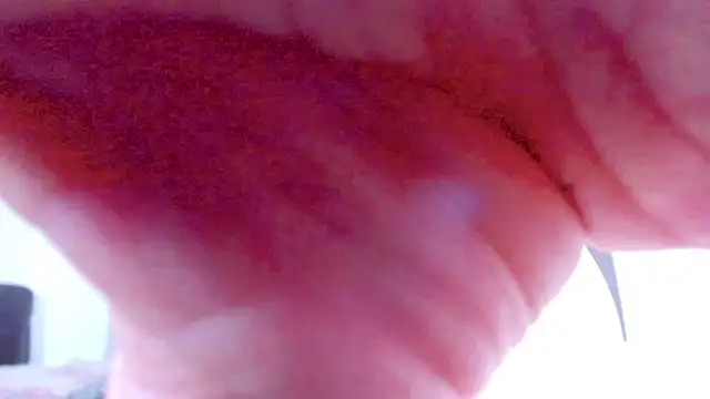 violetadumsper online show from 12-16-25, 03:44