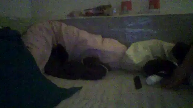 Snapshot of javierpasteur69 chatting on 03-01-25, 04:54 javierpasteur69 online show from 03-01-25, 04:54