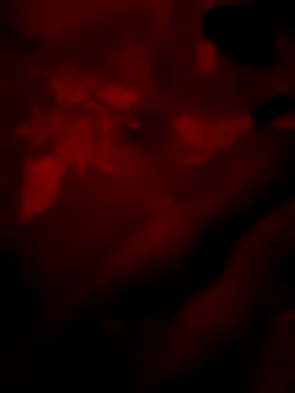 Leefin09 online show from 01-31-26, 09:24