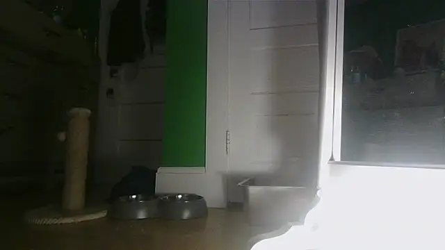 SadCatDaddy online show from 06-03-26, 09:10