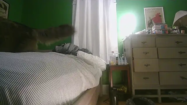 Snapshot of SadCatDaddy chatting on 02-15-26, 11:31 SadCatDaddy online show from 02-15-26, 11:31