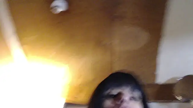 SadCatDaddy online show from 03-20-25, 03:14