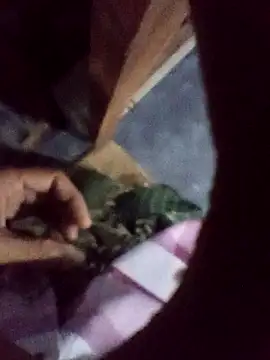 xLoveer online show from 12-05-25, 06:06