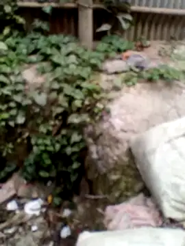 xLoveer online show from 03-13-26, 06:40