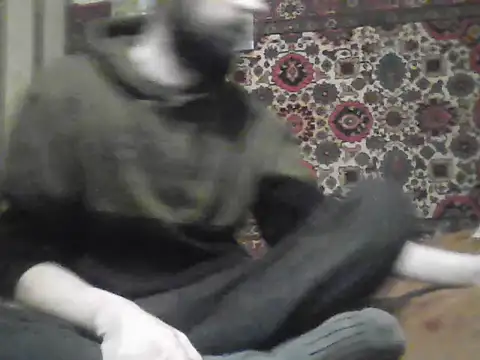 AlferezzSolvajo online show from 01-08-26, 03:18