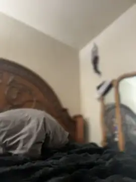 Kitty DaCocks online show from 04-07-26, 10:44