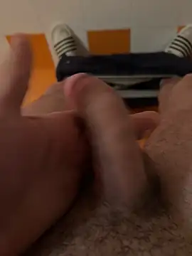 Stripchat2008 online show from 03-11-26, 04:45