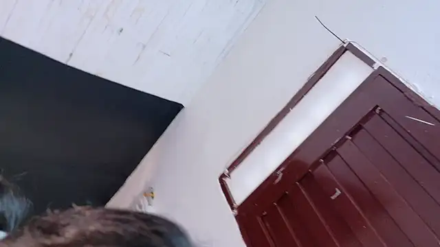 amabel zambrano online show from 11-05-25, 01:47