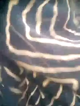 Amaya Bajwa online show from 10-29-25, 01:15