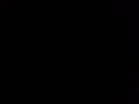 Lauren Amabel online show from 11-24-25, 08:14