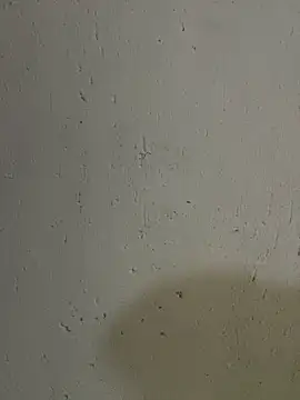 triplebeast online show from 10-17-25, 04:49