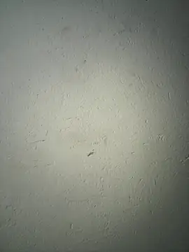 triplebeast online show from 12-02-25, 08:16