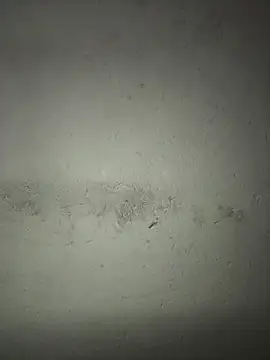 triplebeast online show from 12-18-25, 05:17