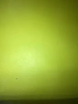 triplebeast online show from 01-23-25, 10:54