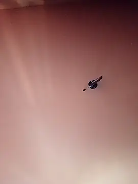 Snapshot of BR_master chatting on 09-19-25, 10:19 BR master online show from 09-19-25, 10:19