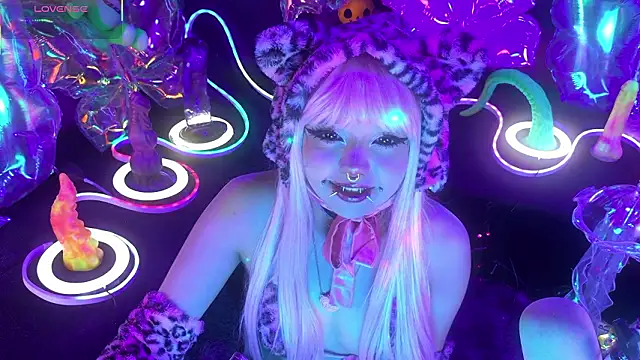 LaytonBox online show from 03-24-26, 02:17