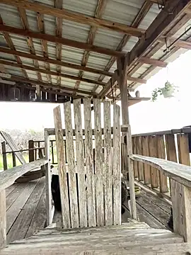 Snapshot of 32XRedBeard chatting on 03-03-26, 10:17 32XRedBeard online show from 03-03-26, 10:17