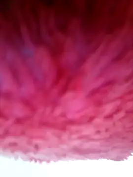 Samara-Bella online show from 01-06-26, 05:22