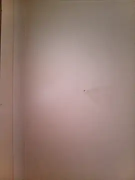 Samara-Bella online show from 12-18-25, 08:08